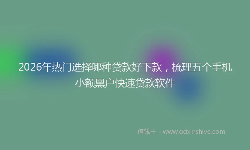 2026年热门选择哪种贷款好下款，梳理五个手机小额黑户快速贷款软件
