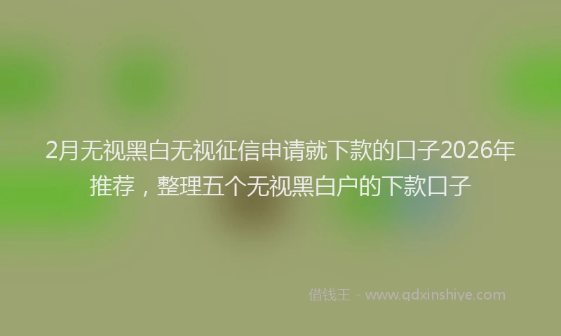 2月无视黑白无视征信申请就下款的口子2026年推荐，整理五个无视黑白户的下款口子
