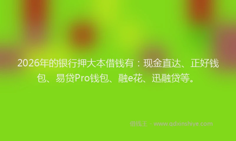 2026年的银行押大本借钱有：现金直达、正好钱包、易贷Pro钱包、融e花、迅融贷等。