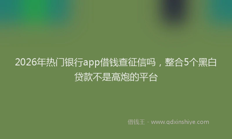 2026年热门银行app借钱查征信吗,整合5个黑白贷款不是高炮的平台
