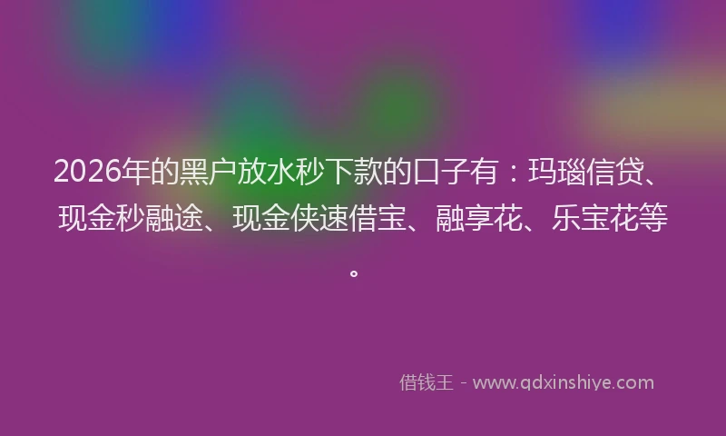 2026年的黑户放水秒下款的口子有：玛瑙信贷、现金秒融途、现金侠速借宝、融享花、乐宝花等。