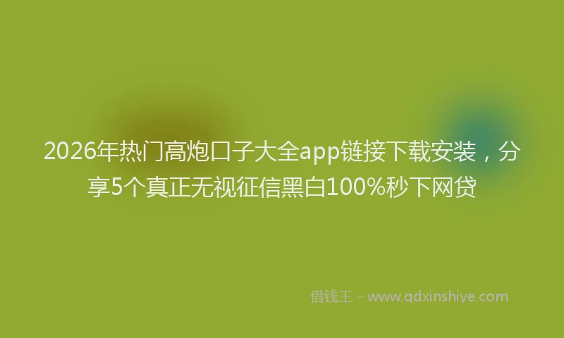 2026年热门高炮口子大全app链接下载安装，分享5个真正无视征信黑白100%秒下网贷