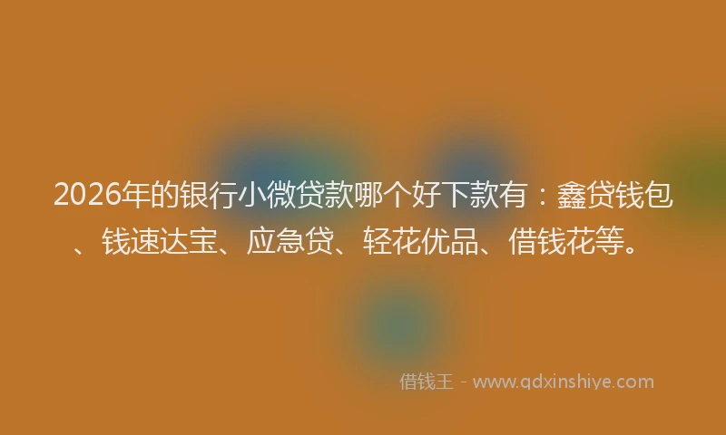 2026年的银行小微贷款哪个好下款有:鑫贷钱包、钱速达宝、应急贷、轻花优品、借钱花等。