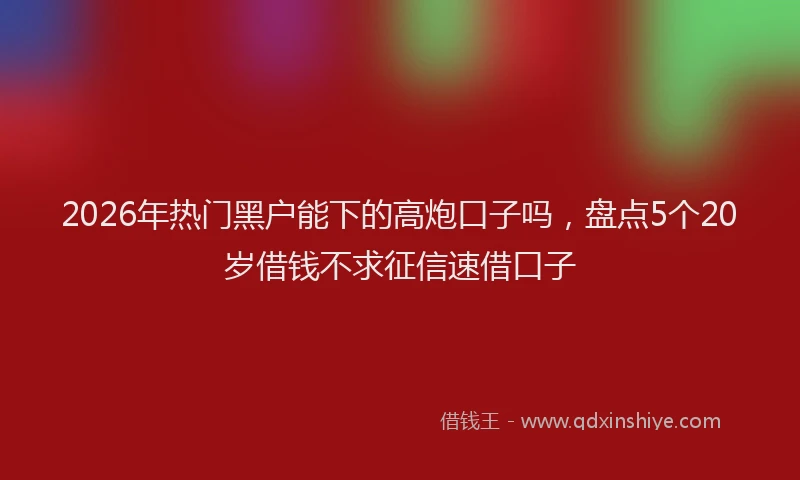 2026年热门黑户能下的高炮口子吗，盘点5个20岁借钱不求征信速借口子