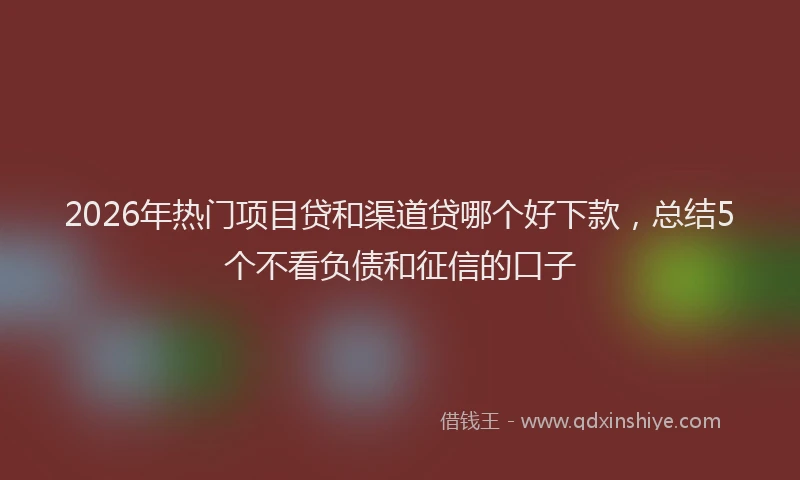 2026年热门项目贷和渠道贷哪个好下款，总结5个不看负债和征信的口子