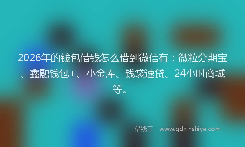 2026年的钱包借钱怎么借到微信有：微粒分期宝、鑫融钱包+、小金库、钱袋速贷、24小时商城等。