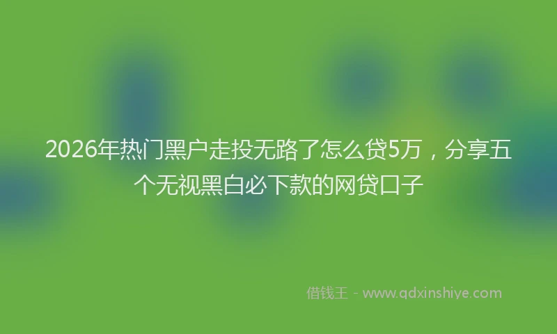 2026年热门黑户走投无路了怎么贷5万，分享五个无视黑白必下款的网贷口子
