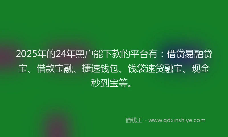 2025年的24年黑户能下款的平台有：借贷易融贷宝、借款宝融、捷速钱包、钱袋速贷融宝、现金秒到宝等。