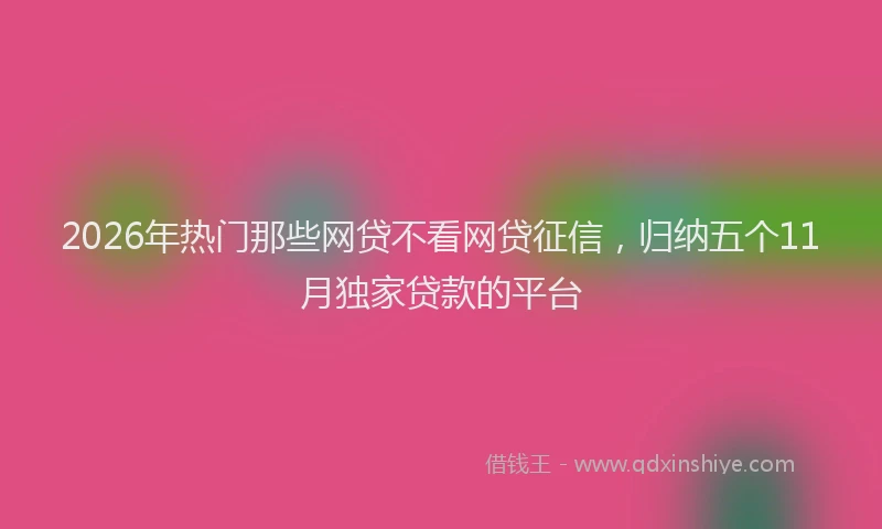 2026年热门那些网贷不看网贷征信,归纳五个11月独家贷款的平台