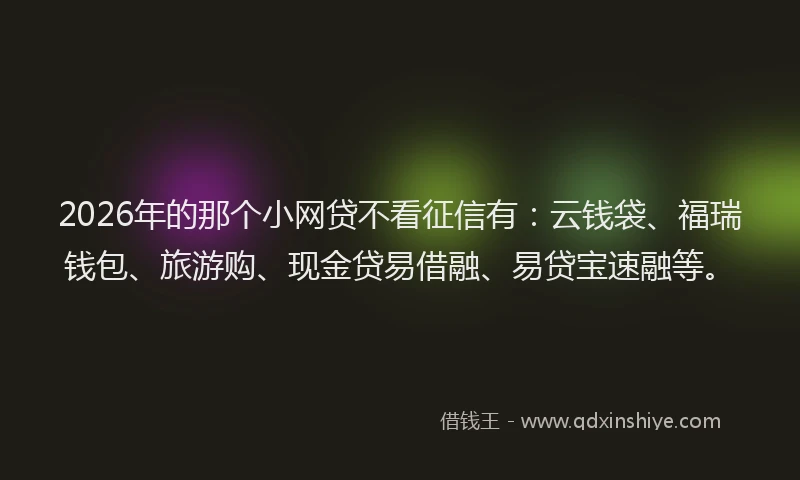 2026年的那个小网贷不看征信有：云钱袋、福瑞钱包、旅游购、现金贷易借融、易贷宝速融等。