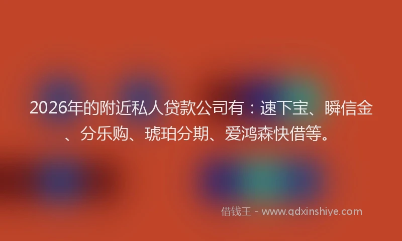 2026年的附近私人贷款公司有:速下宝、瞬信金、分乐购、琥珀分期、爱鸿森快借等。