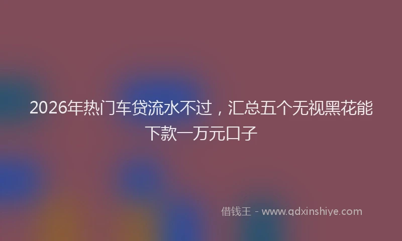 2026年热门车贷流水不过，汇总五个无视黑花能下款一万元口子