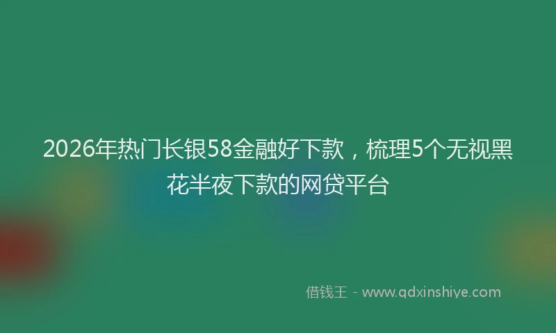 2026年热门长银58金融好下款，梳理5个无视黑花半夜下款的网贷平台