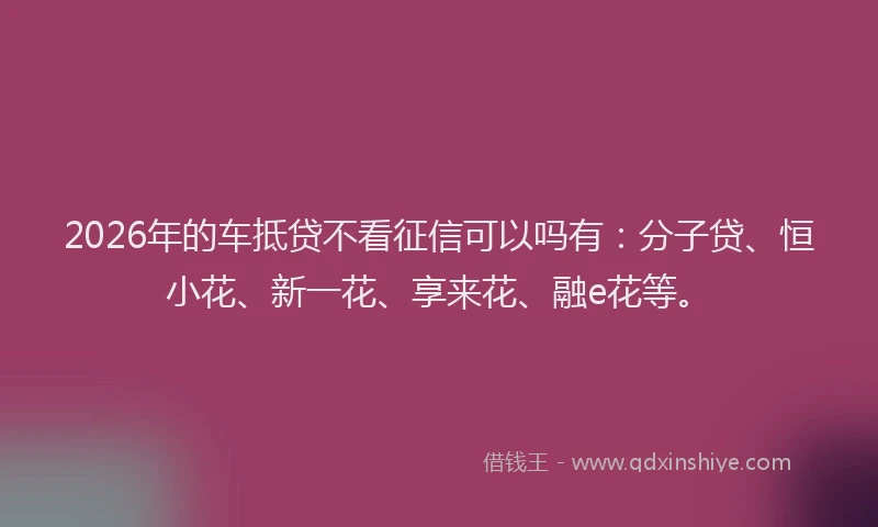 2026年的车抵贷不看征信可以吗有：分子贷、恒小花、新一花、享来花、融e花等。