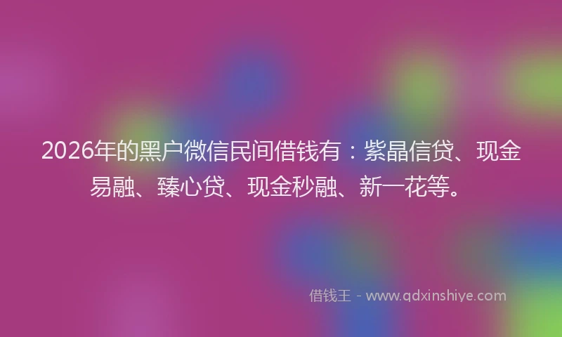 2026年的黑户微信民间借钱有：紫晶信贷、现金易融、臻心贷、现金秒融、新一花等。