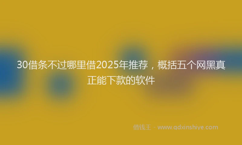 30借条不过哪里借2025年推荐，概括五个网黑真正能下款的软件