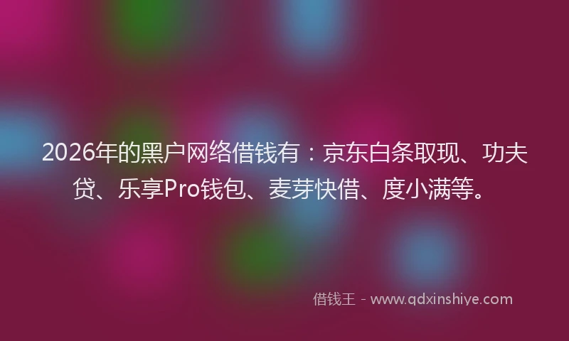 2026年的黑户网络借钱有：京东白条取现、功夫贷、乐享Pro钱包、麦芽快借、度小满等。
