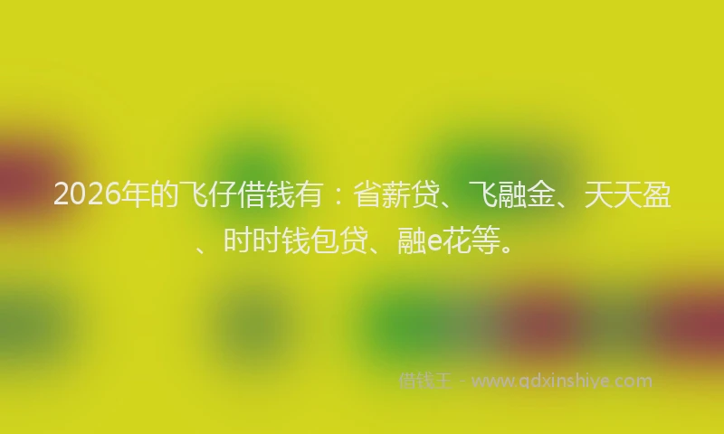 2026年的飞仔借钱有：省薪贷、飞融金、天天盈、时时钱包贷、融e花等。