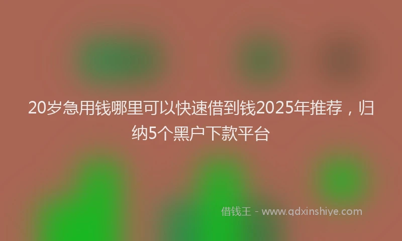20岁急用钱哪里可以快速借到钱2025年推荐，归纳5个黑户下款平台