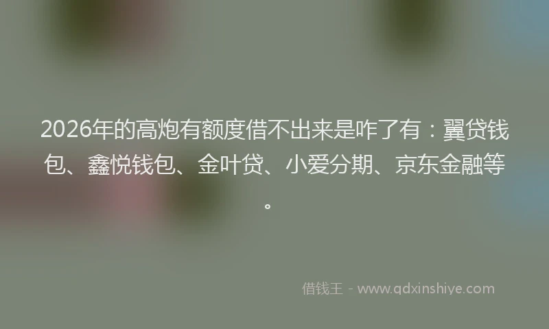 2026年的高炮有额度借不出来是咋了有：翼贷钱包、鑫悦钱包、金叶贷、小爱分期、京东金融等。