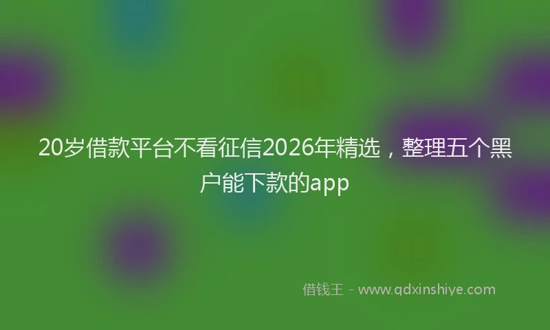 20岁借款平台不看征信2026年精选,整理五个黑户能下款的app