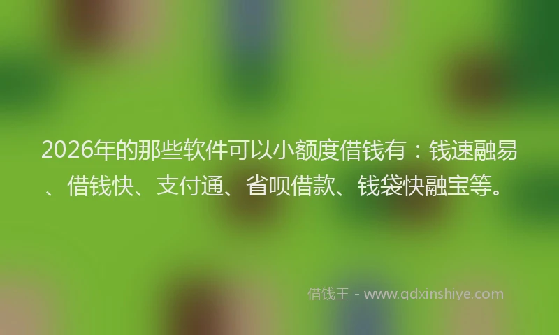 2026年的那些软件可以小额度借钱有：钱速融易、借钱快、支付通、省呗借款、钱袋快融宝等。
