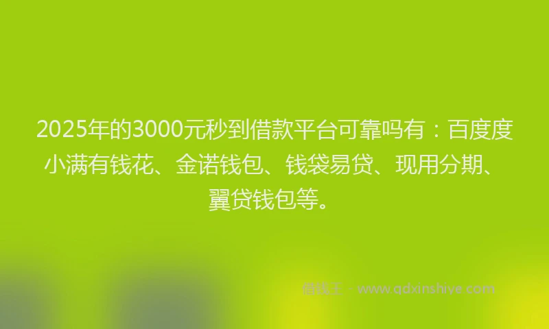 2025年的3000元秒到借款平台可靠吗有：百度度小满有钱花、金诺钱包、钱袋易贷、现用分期、翼贷钱包等。