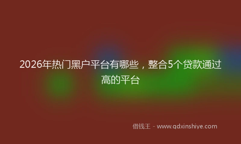 2026年热门黑户平台有哪些，整合5个贷款通过高的平台