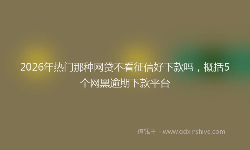 2026年热门那种网贷不看征信好下款吗，概括5个网黑逾期下款平台