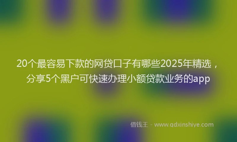 20个最容易下款的网贷口子有哪些2025年精选，分享5个黑户可快速办理小额贷款业务的app
