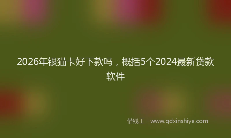 2026年银猫卡好下款吗，概括5个2024最新贷款软件
