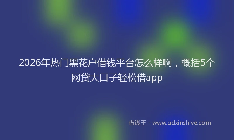 2026年热门黑花户借钱平台怎么样啊，概括5个网贷大口子轻松借app