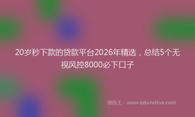 20岁秒下款的贷款平台2026年精选，总结5个无视风控8000必下口子
