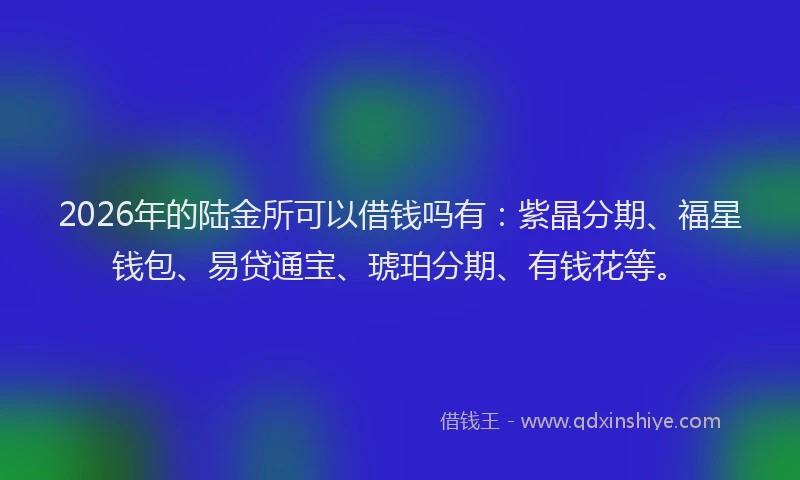 2026年的陆金所可以借钱吗有：紫晶分期、福星钱包、易贷通宝、琥珀分期、有钱花等。