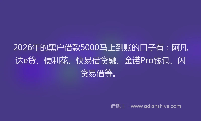 2026年的黑户借款5000马上到账的口子有：阿凡达e贷、便利花、快易借贷融、金诺Pro钱包、闪贷易借等。