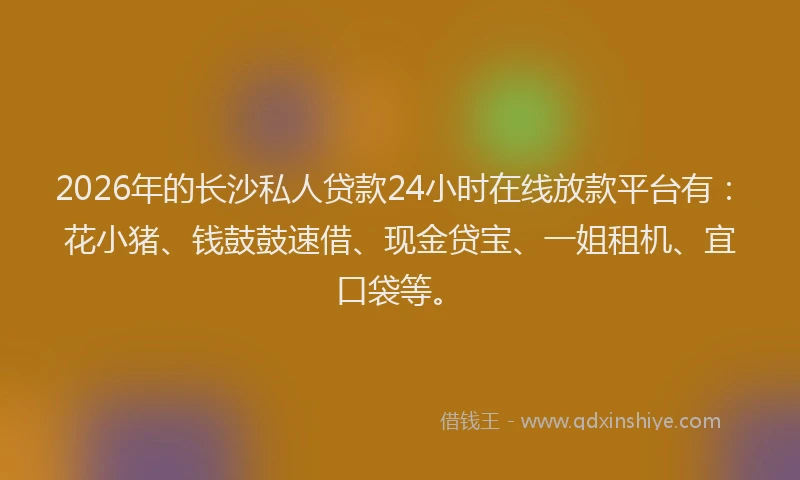 2026年的长沙私人贷款24小时在线放款平台有：花小猪、钱鼓鼓速借、现金贷宝、一姐租机、宜口袋等。