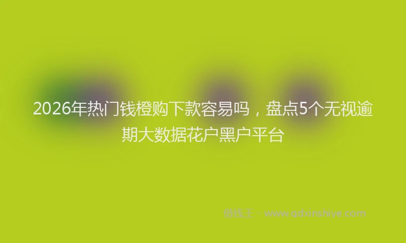 2026年热门钱橙购下款容易吗,盘点5个无视逾期大数据花户黑户平台