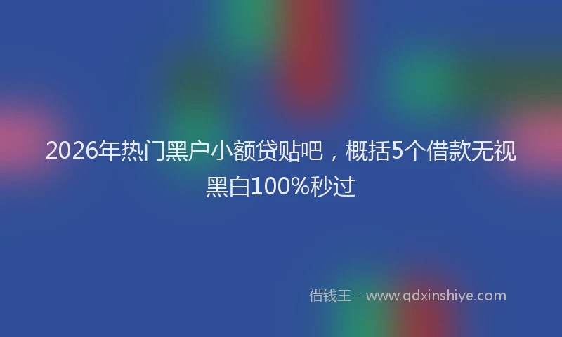 2026年热门黑户小额贷贴吧，概括5个借款无视黑白100%秒过