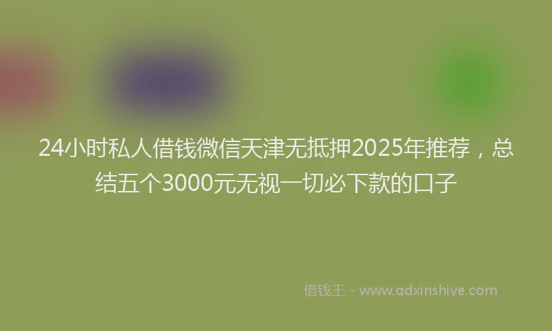 24小时私人借钱微信天津无抵押2025年推荐，总结五个3000元无视一切必下款的口子