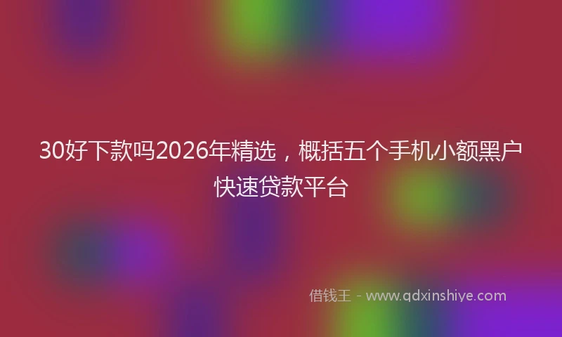 30好下款吗2026年精选,概括五个手机小额黑户快速贷款平台