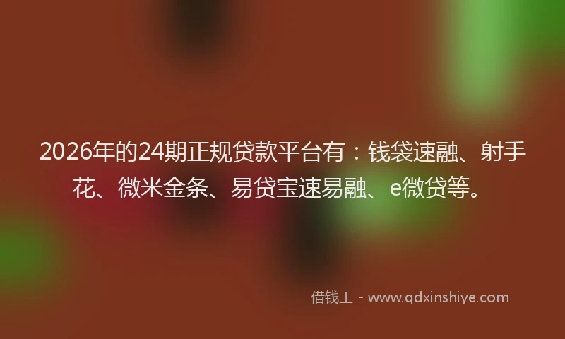 2026年的24期正规贷款平台有：钱袋速融、射手花、微米金条、易贷宝速易融、e微贷等。