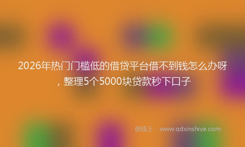 2026年热门门槛低的借贷平台借不到钱怎么办呀，整理5个5000块贷款秒下口子