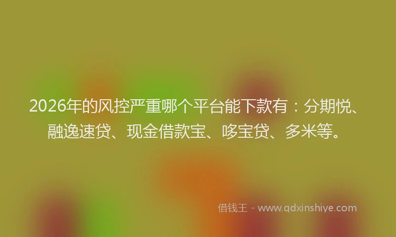 2026年的风控严重哪个平台能下款有:分期悦、融逸速贷、现金借款宝、哆宝贷、多米等。