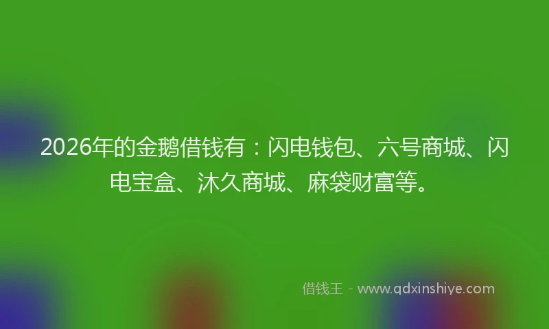 2026年的金鹅借钱有：闪电钱包、六号商城、闪电宝盒、沐久商城、麻袋财富等。