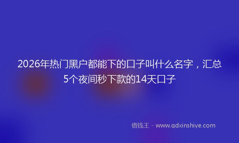 2026年热门黑户都能下的口子叫什么名字,汇总5个夜间秒下款的14天口子