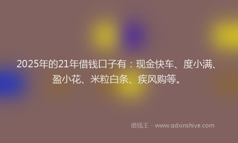 2025年的21年借钱口子有：现金快车、度小满、盈小花、米粒白条、疾风购等。