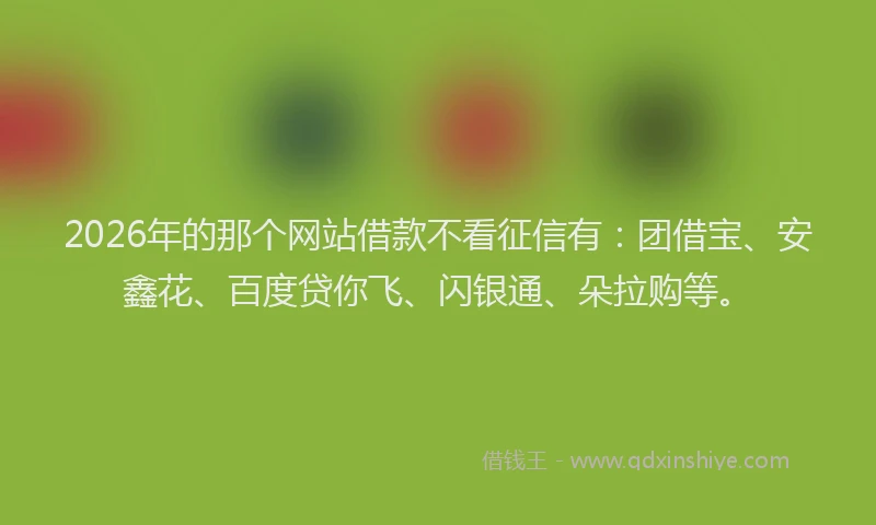 2026年的那个网站借款不看征信有：团借宝、安鑫花、百度贷你飞、闪银通、朵拉购等。