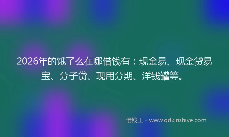 2026年的饿了么在哪借钱有:现金易、现金贷易宝、分子贷、现用分期、洋钱罐等。