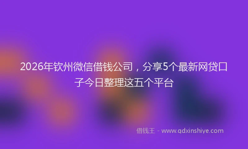 2026年钦州微信借钱公司，分享5个最新网贷口子今日整理这五个平台