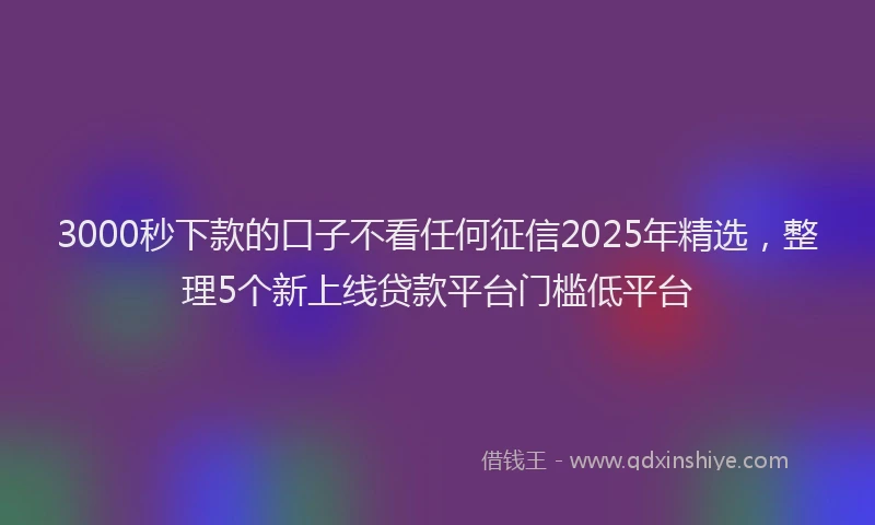 3000秒下款的口子不看任何征信2025年精选，整理5个新上线贷款平台门槛低平台